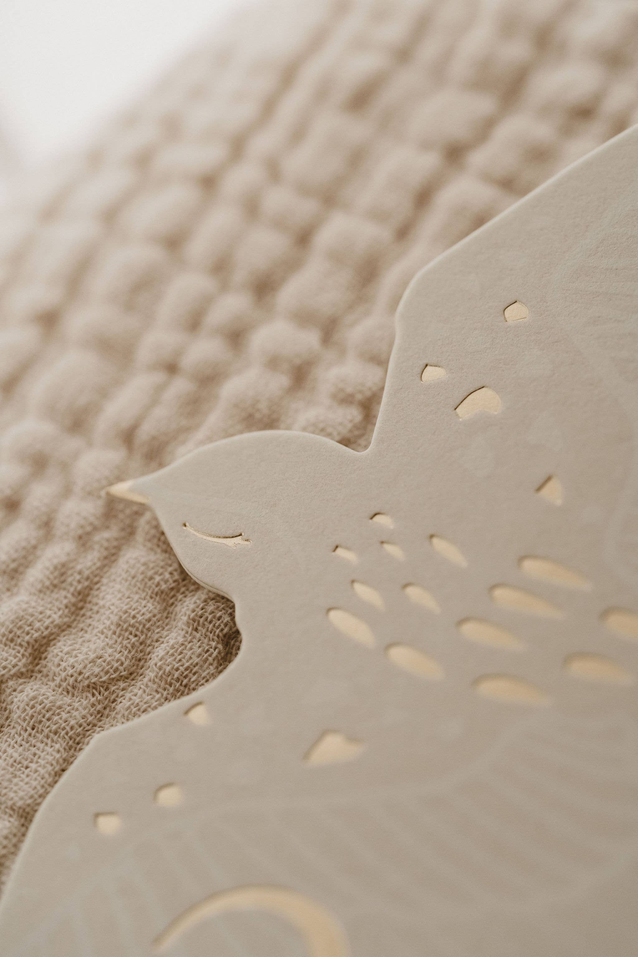 Zakuw - Coffret Cartes étapes Birds