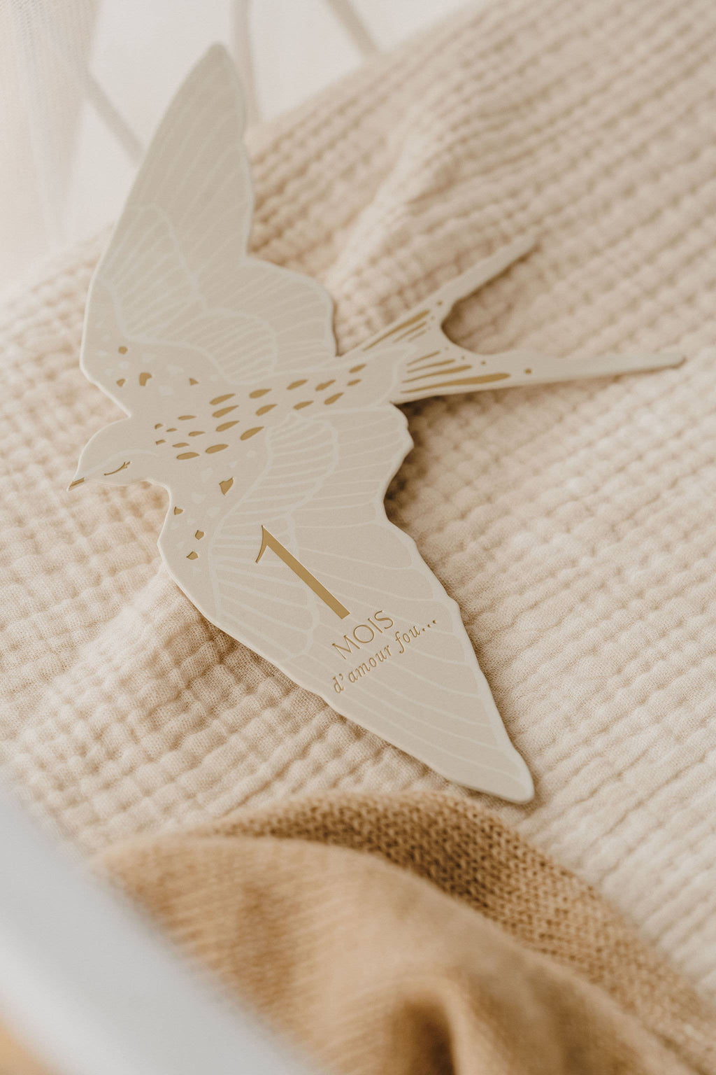 Zakuw - Coffret Cartes étapes Birds