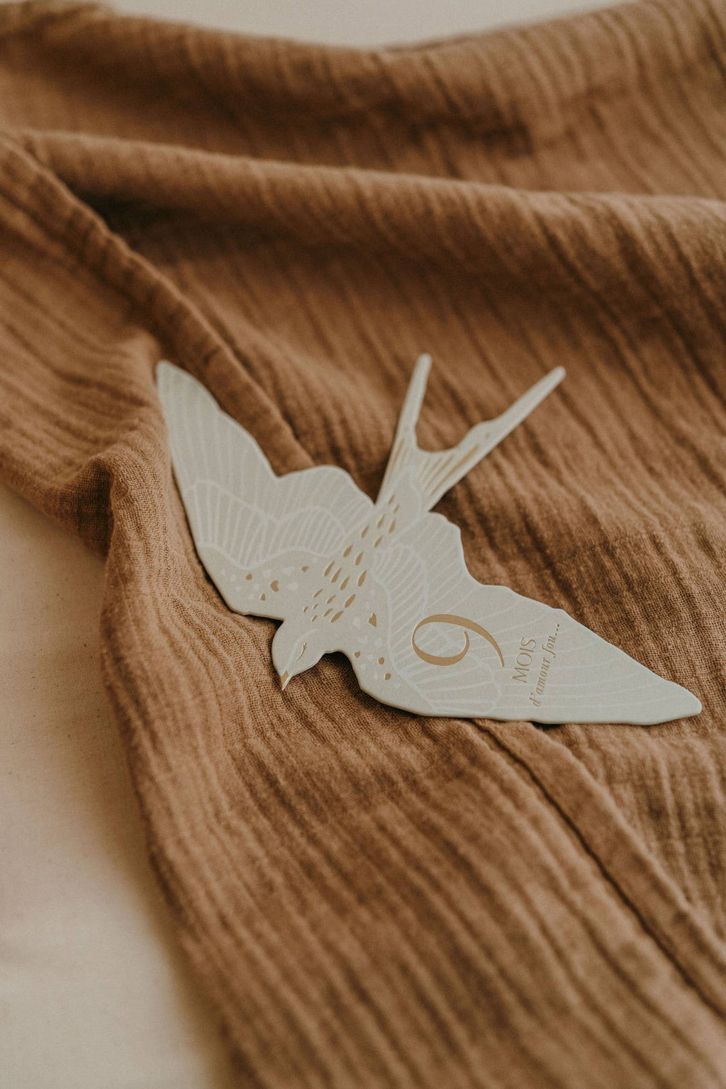 Zakuw - Coffret Cartes étapes Birds
