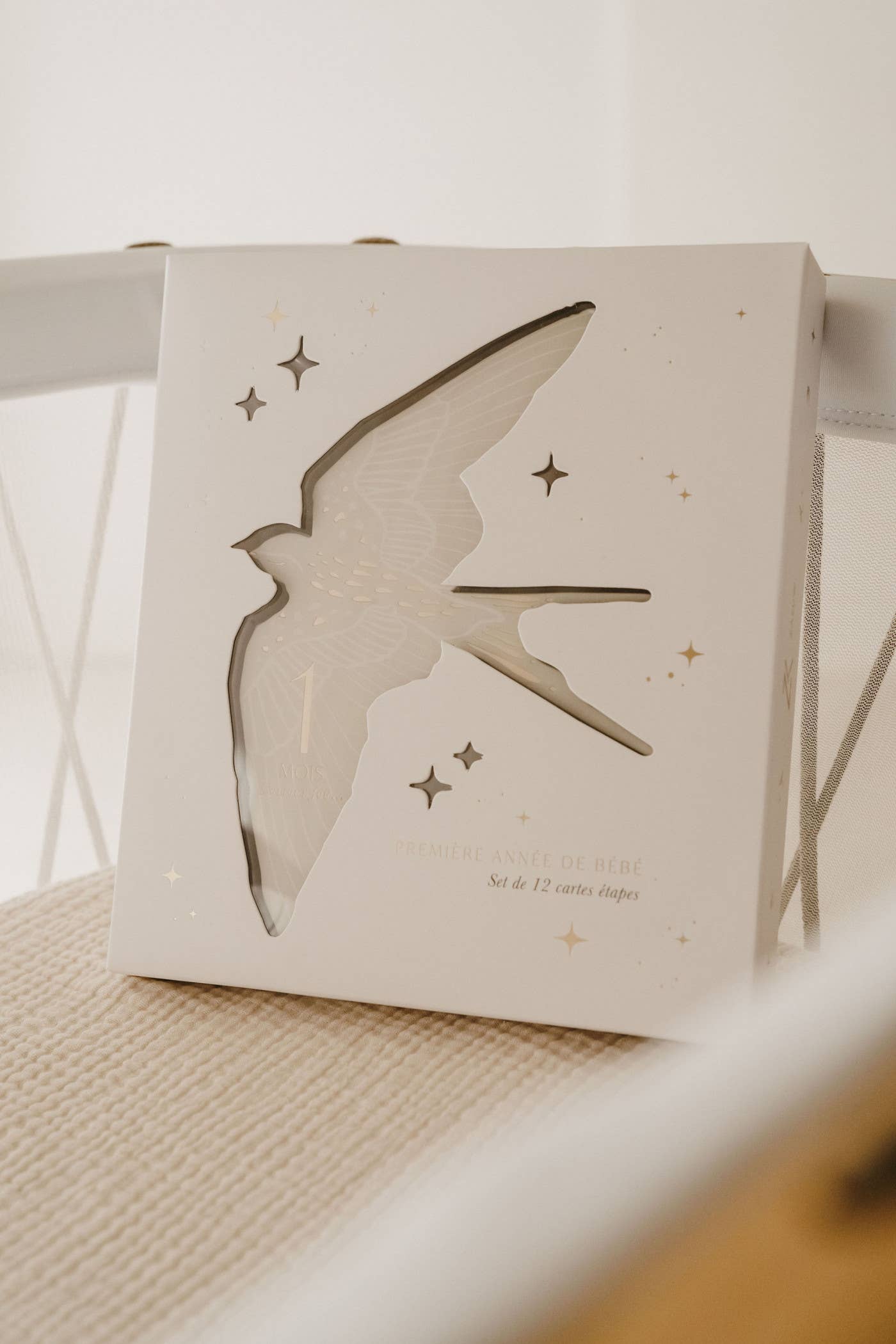 Zakuw - Coffret Cartes étapes Birds