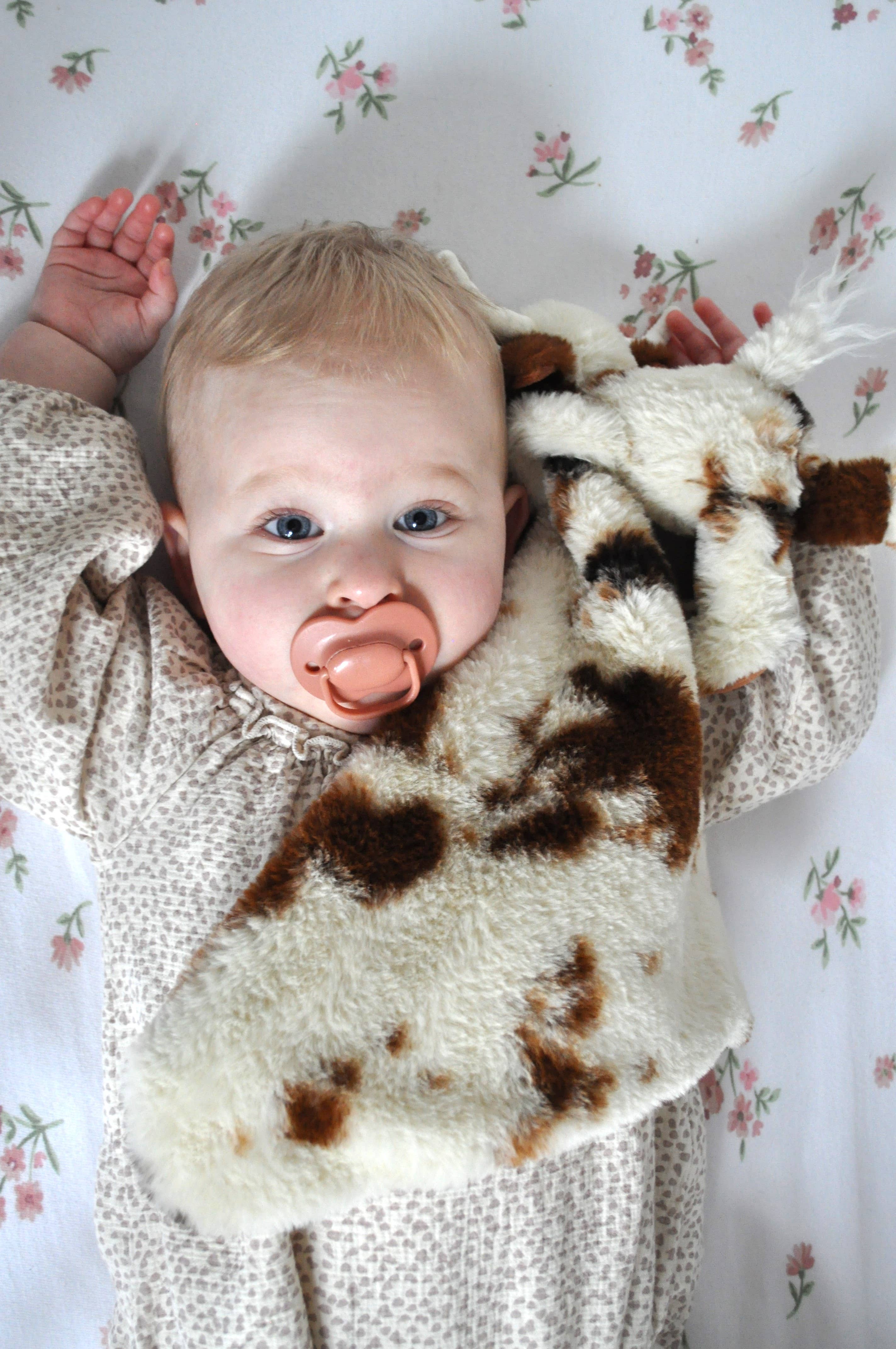 Jomanda Soft Toys & Accessories - UK Based - Jouet Apaisant en Peluche Vache Highland Bébé Texas Longhorn