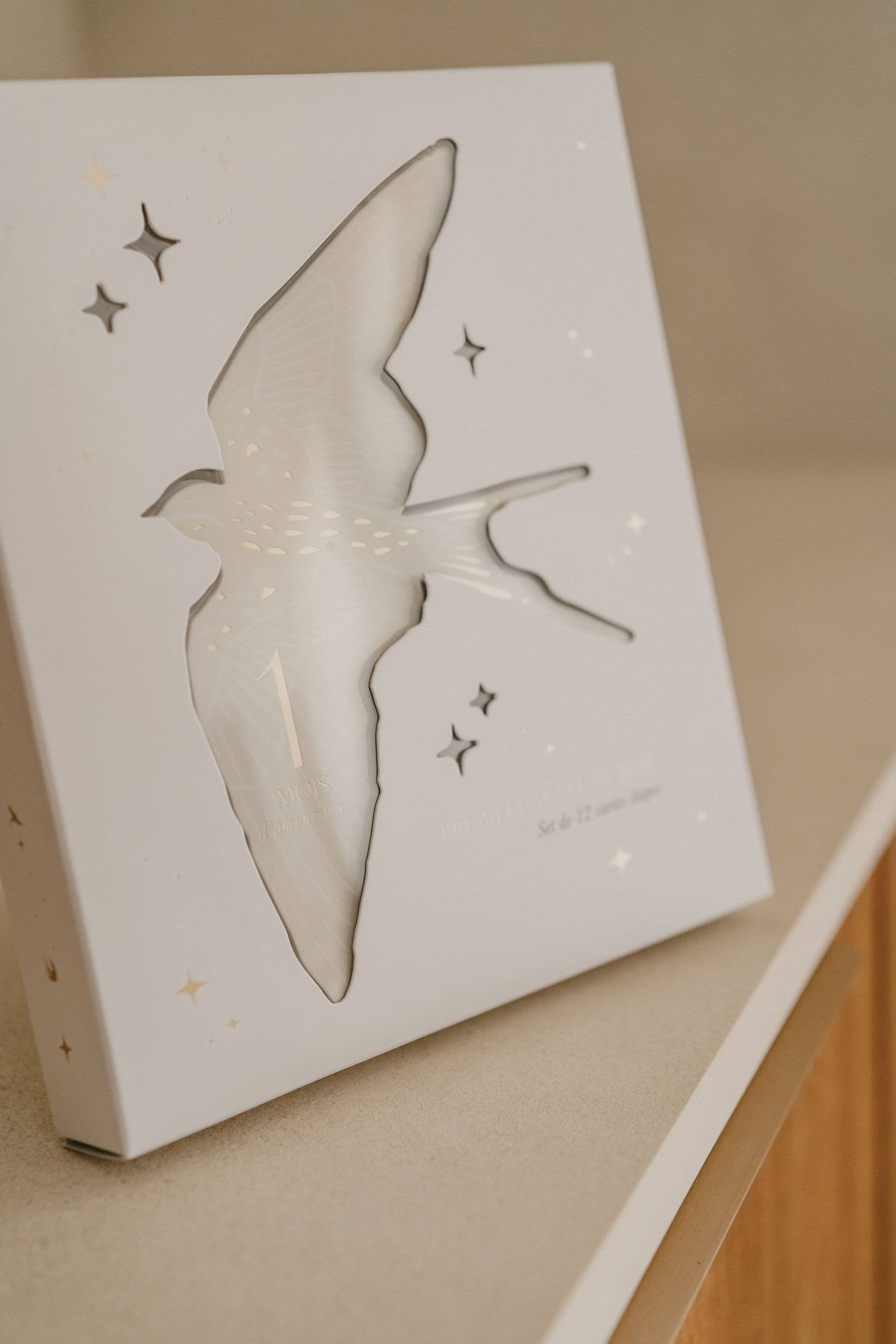 Zakuw - Coffret Cartes étapes Birds