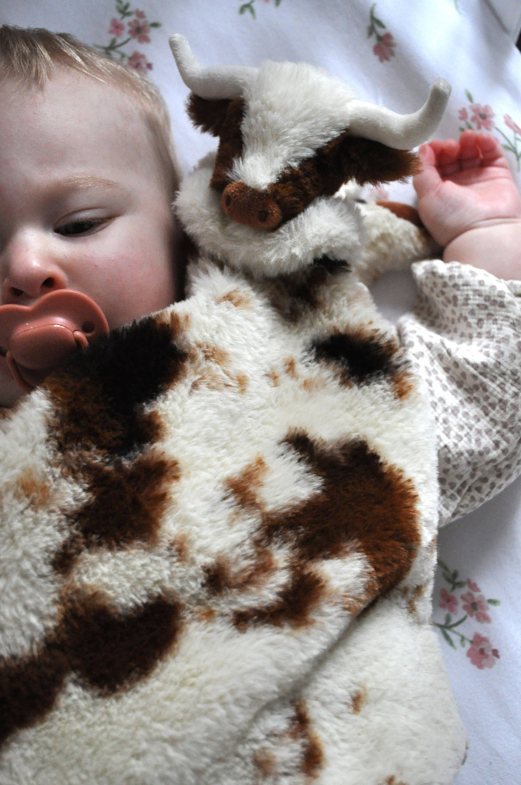 Jomanda Soft Toys & Accessories - UK Based - Texas Longhorn Highland Cow Soother Toy