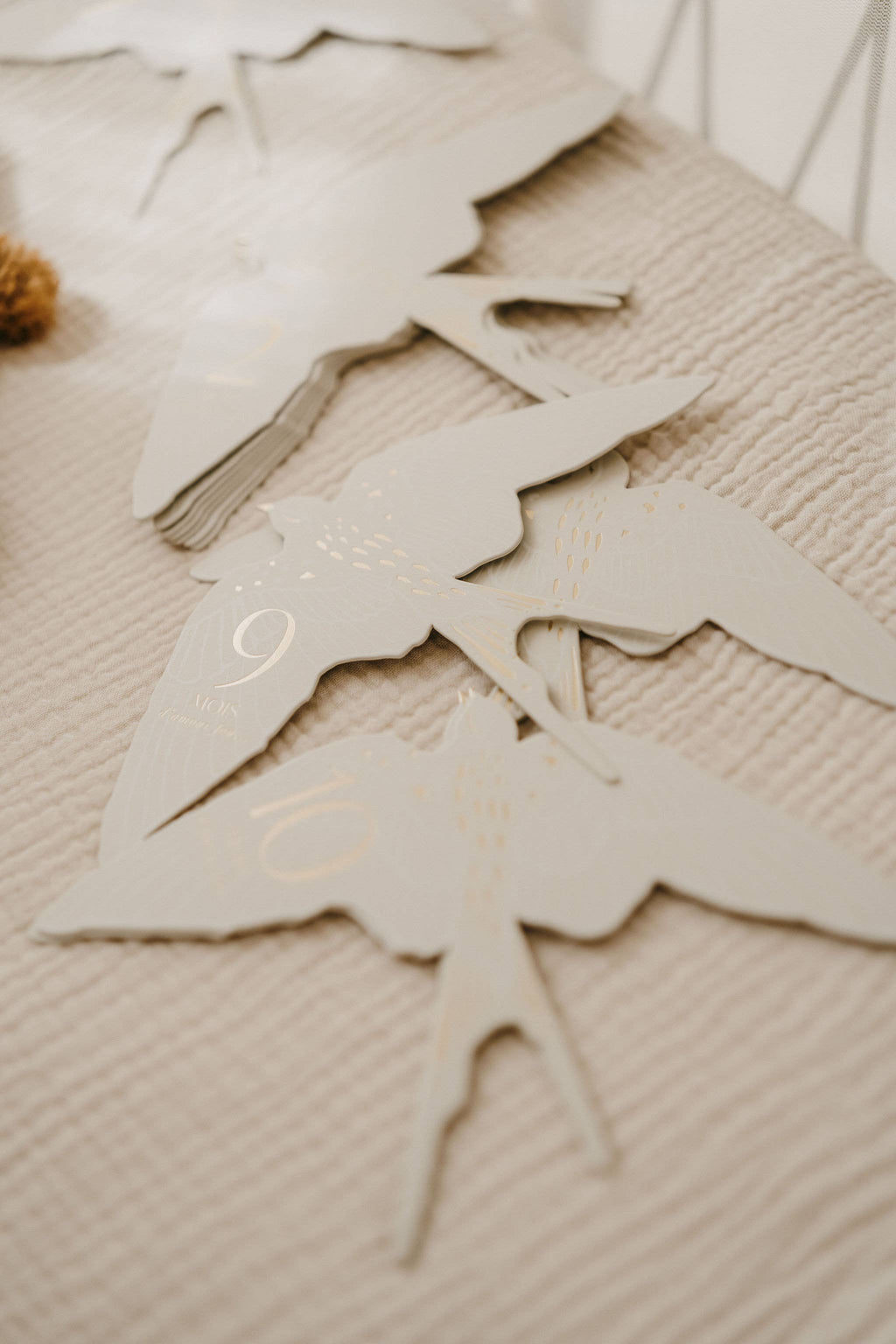 Zakuw - Coffret Cartes étapes Birds