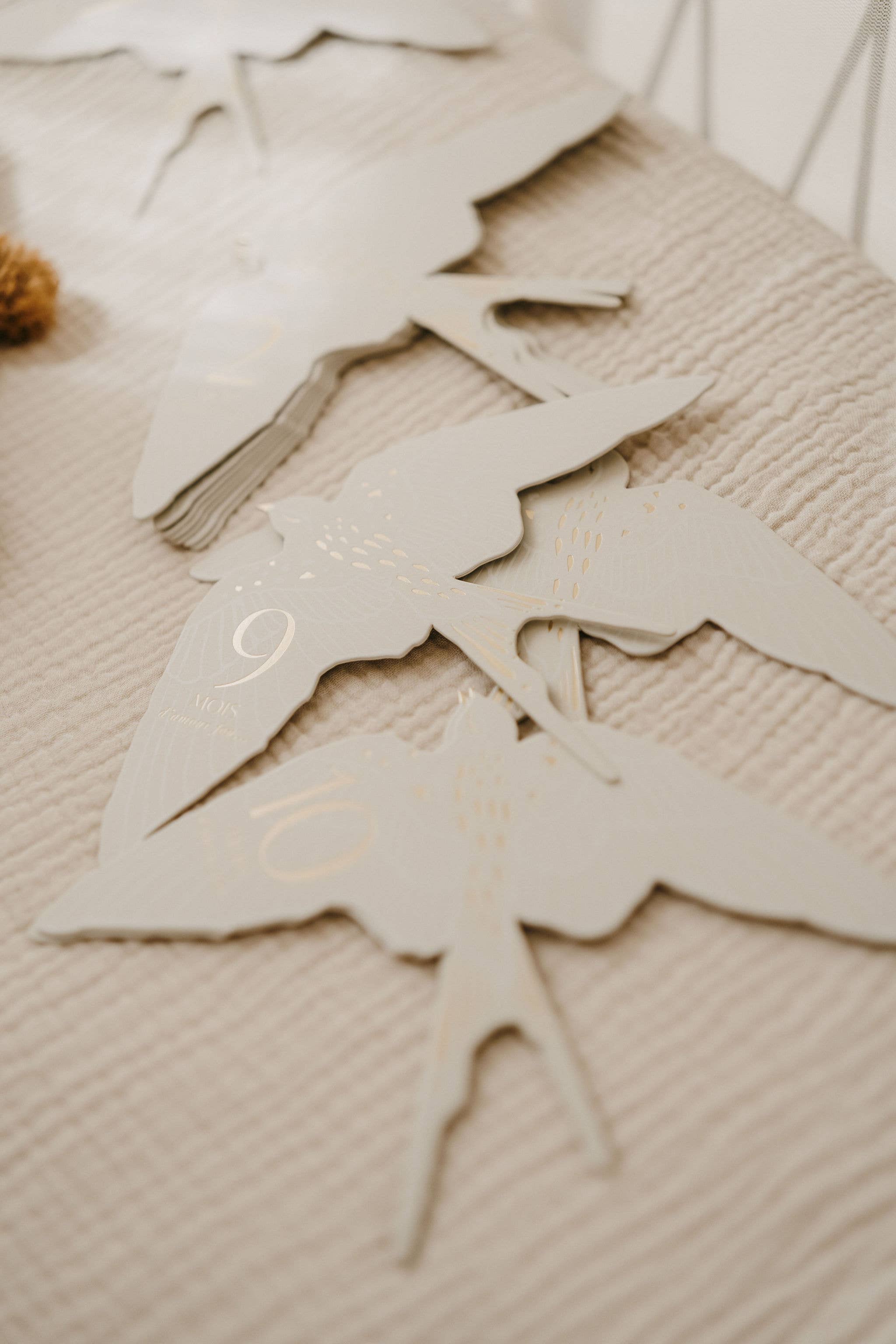 Zakuw - Coffret Cartes étapes Birds