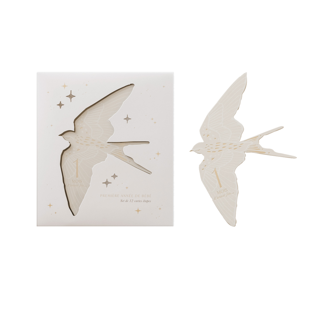 Zakuw - Coffret Cartes étapes Birds