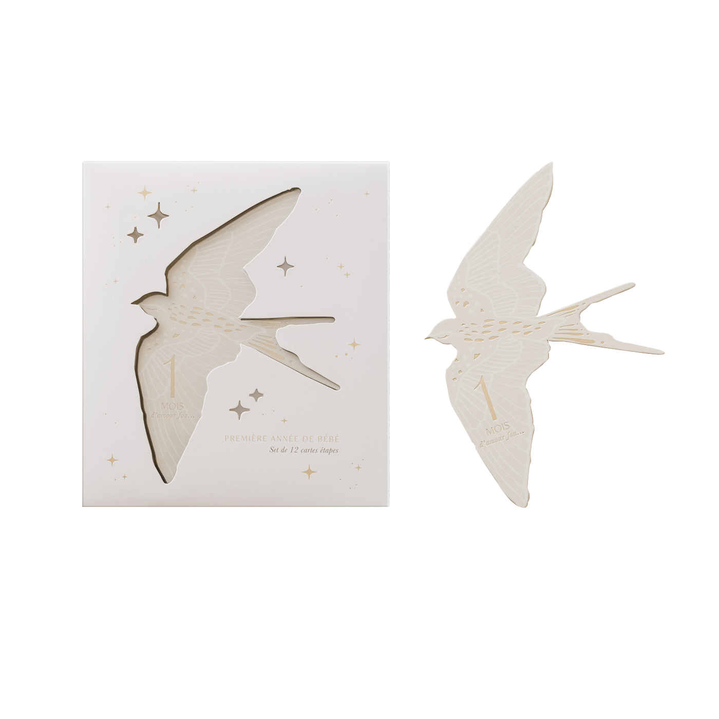 Zakuw - Coffret Cartes étapes Birds