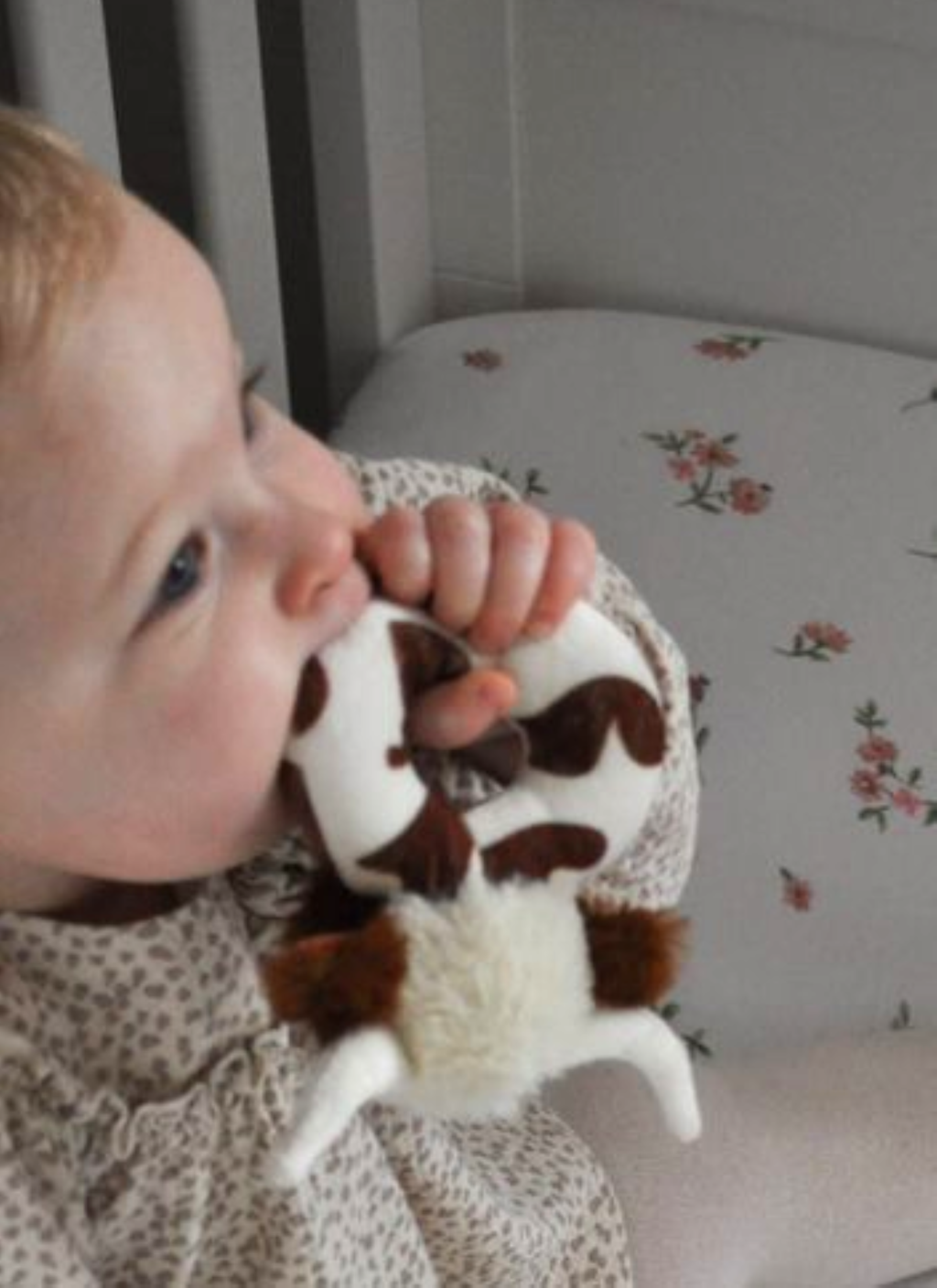 Jomanda Soft Toys & Accessories - UK Based - Texas Longhorn brown Highland cow plush baby rattle 10 cm